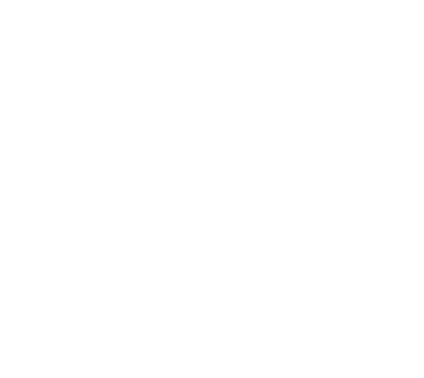 Vinetum — Consultoria de Processos e Inovação